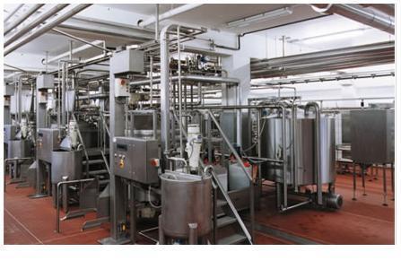 Food Processing Machine