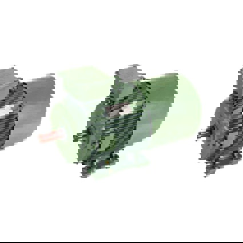 Foot Mounted 2 Pole 1HP Inverter Duty Motor