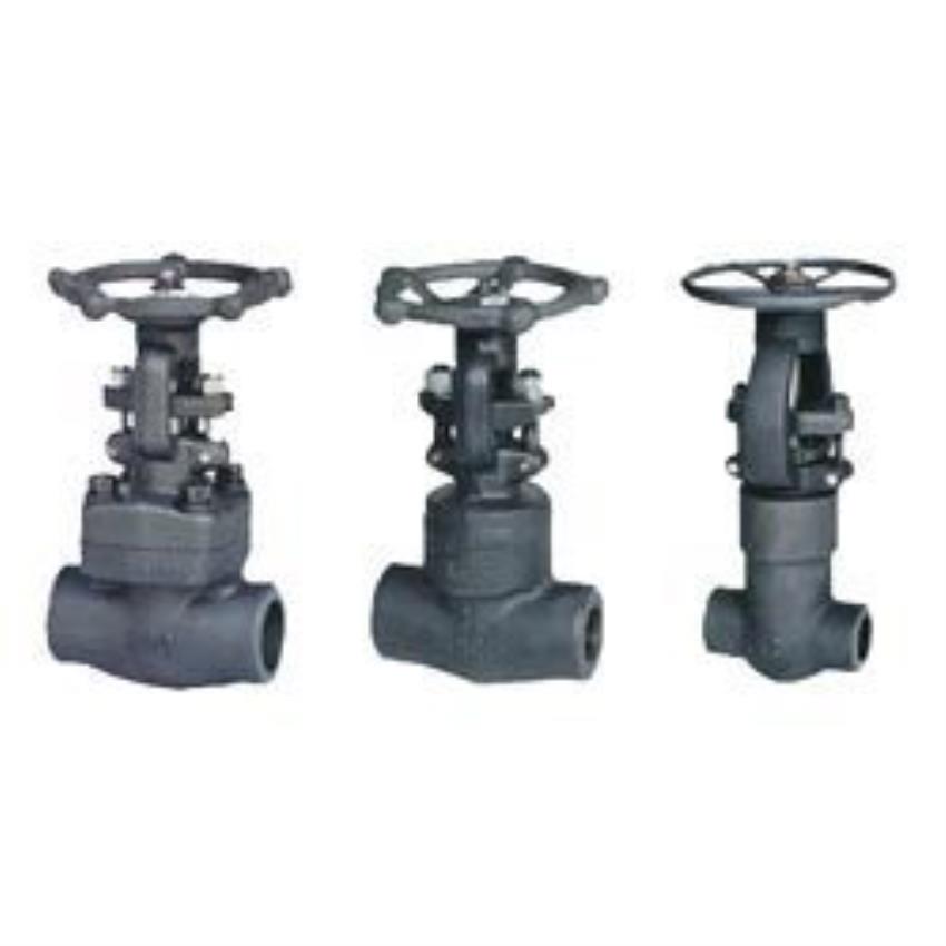 Forged Steel Gate Valve Equipment