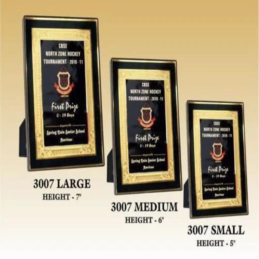 Picture Frame and Hanging Assembly