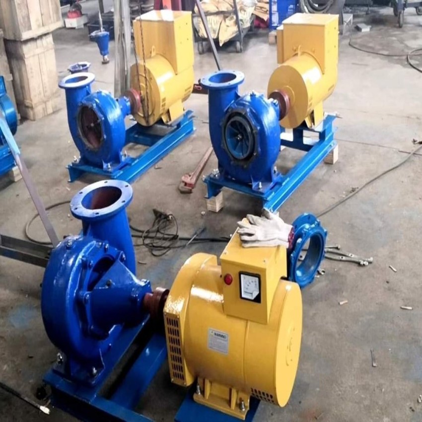 Francis Kaplan Electric Turbine