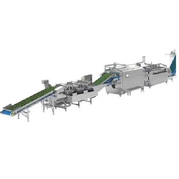 Frozen Vegetable Processing Plant Equipment