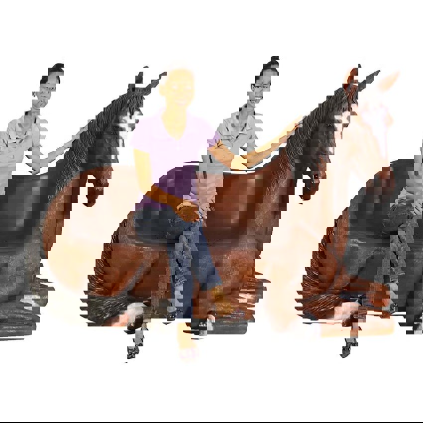 FRP Horse Shaped Garden Bench