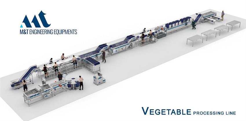 Fruit & Vegetable Grading and Sorting Line