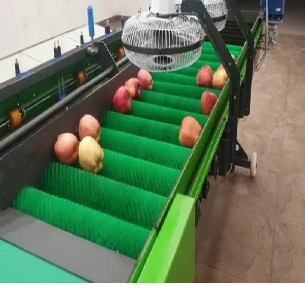 Automatic Apple Grading Equipment