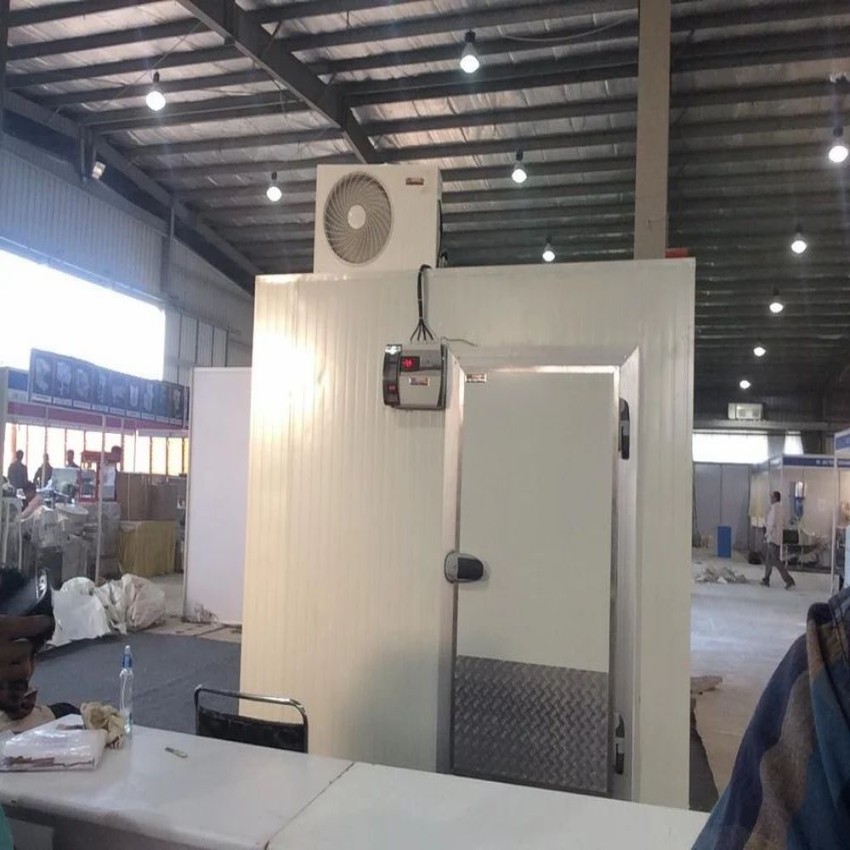 Automatic Fruit Ripening Chamber