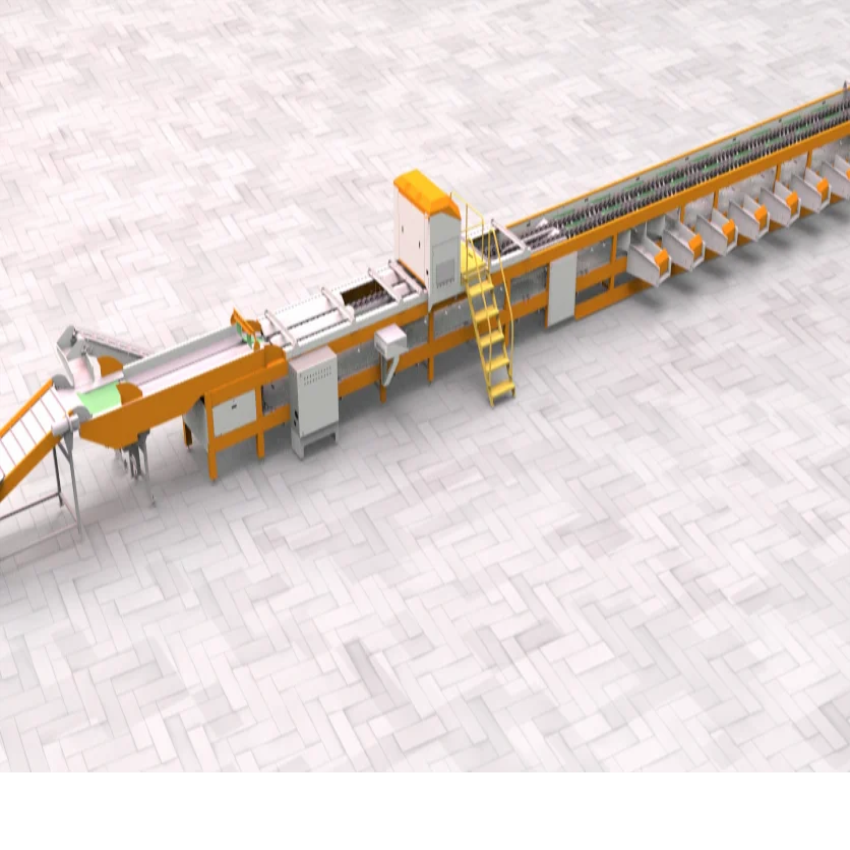 Automatic Fruit Sorting Equipment