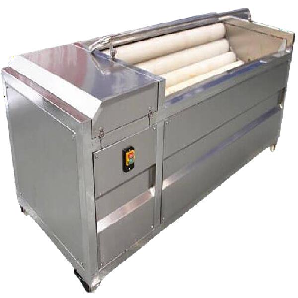 Fruit Vegetable Washing Peeling Machine