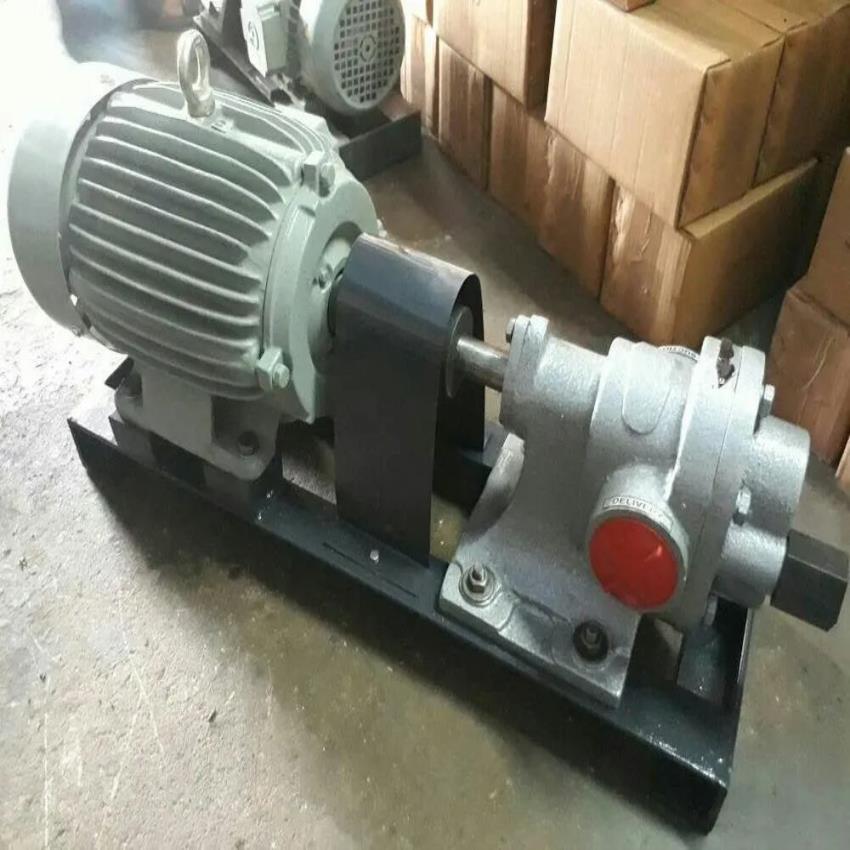 Automatic Steel SS Gear Pump for Milk