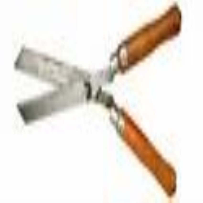 Professional Garden Scissors