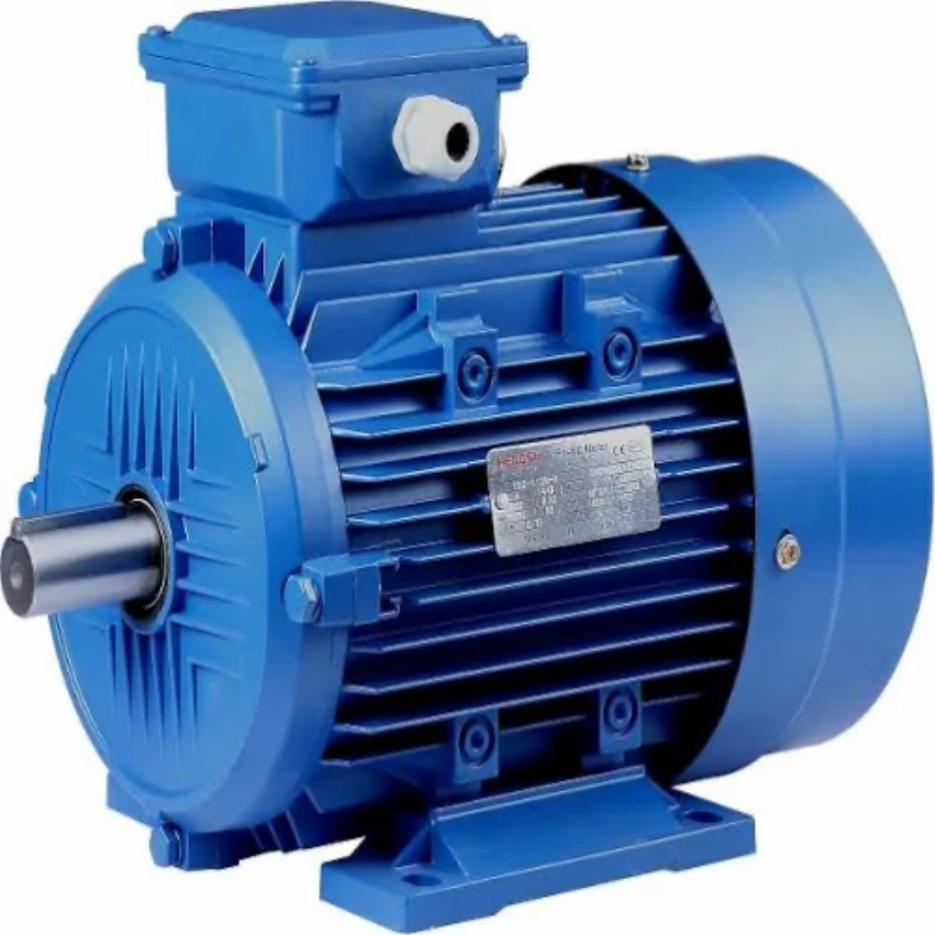 General Purpose Electric Motor