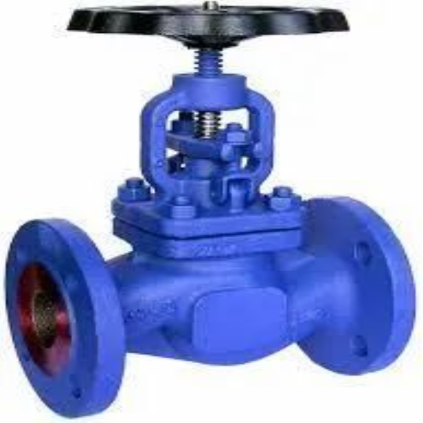 Steel Globe Valve