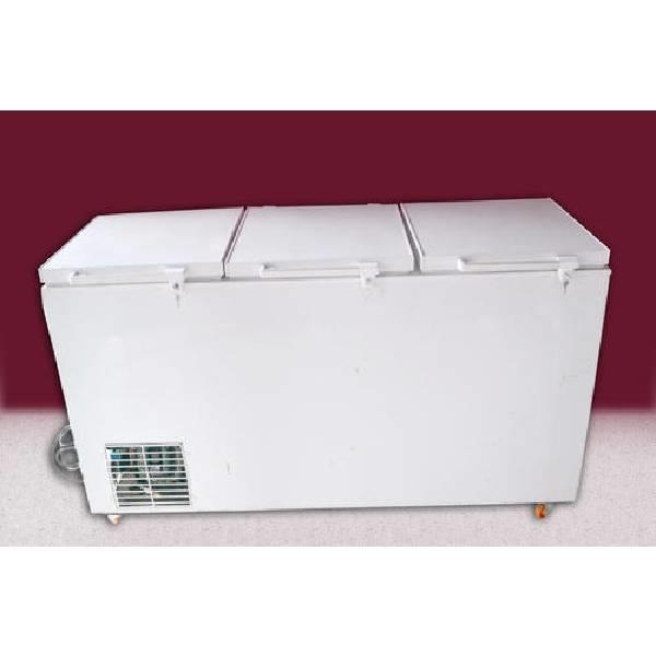 Glycol Deep Freezer Rickshaw, 300 Litre