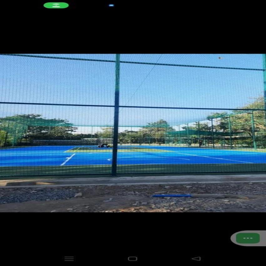 Green HDPE Sports Netting