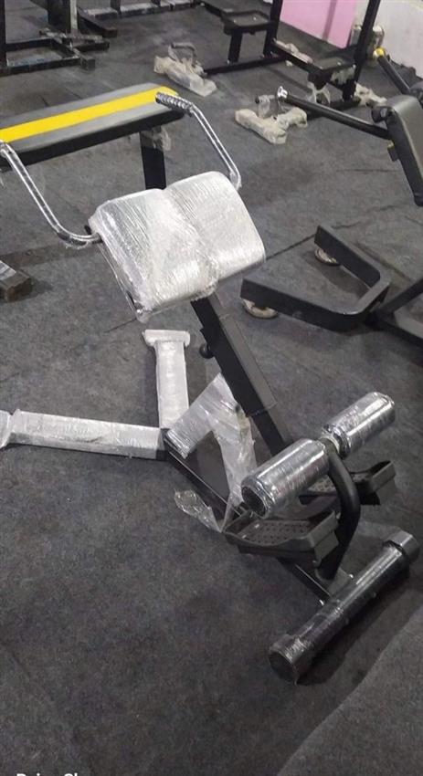 Gym Back Extension Equipment