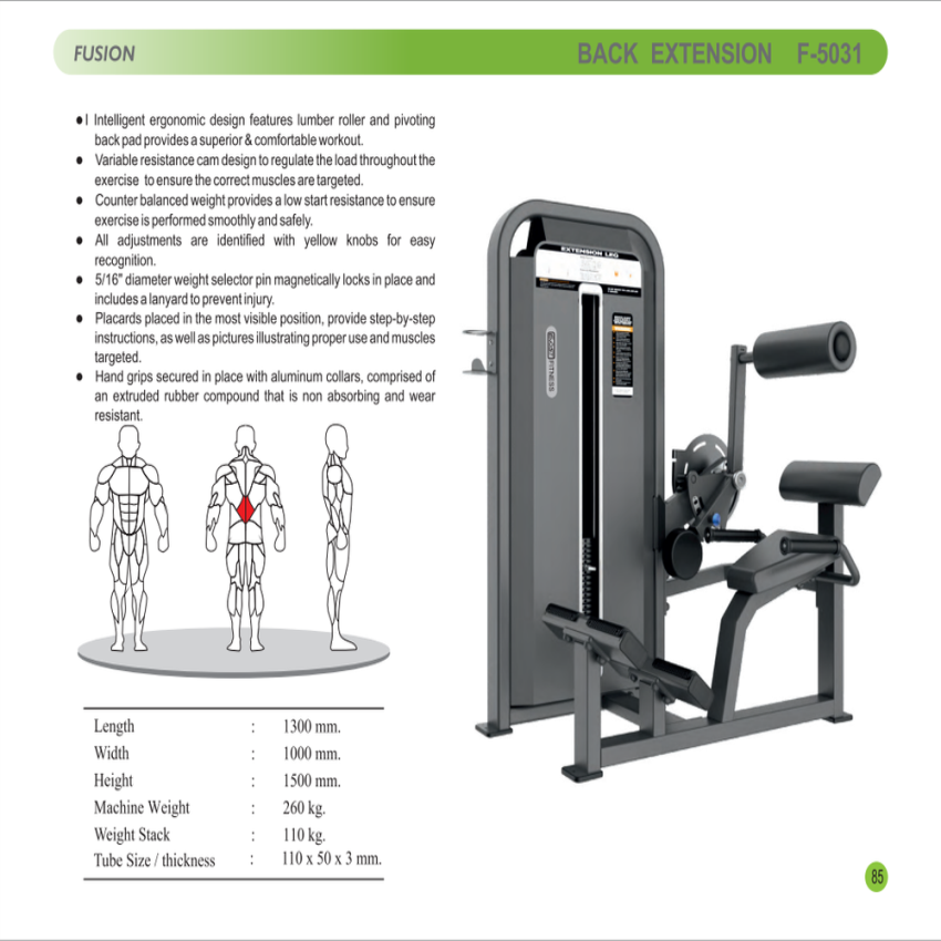Gym Back Extension Fitness Equipment