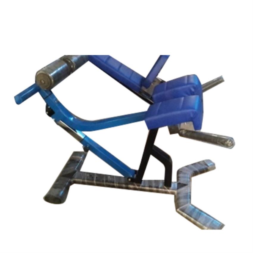 Gym Back Extension Machine