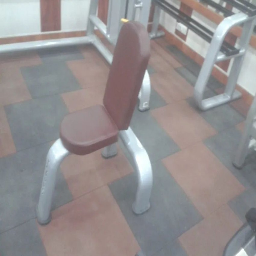Gym Fitness Bench