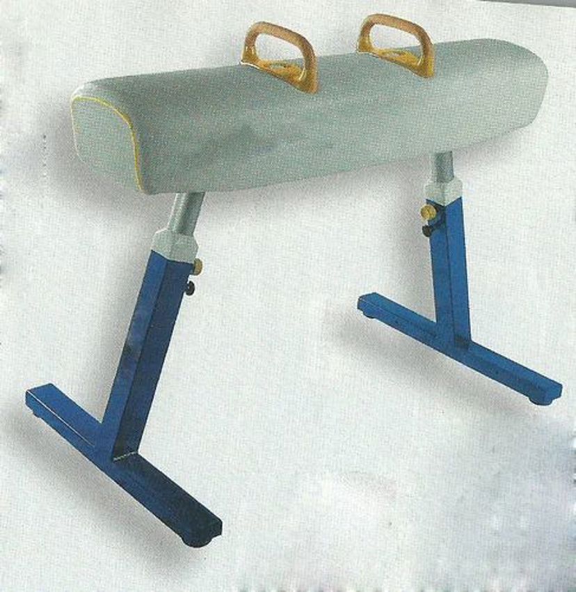 Gymnastic Pommeled Horse Equipment