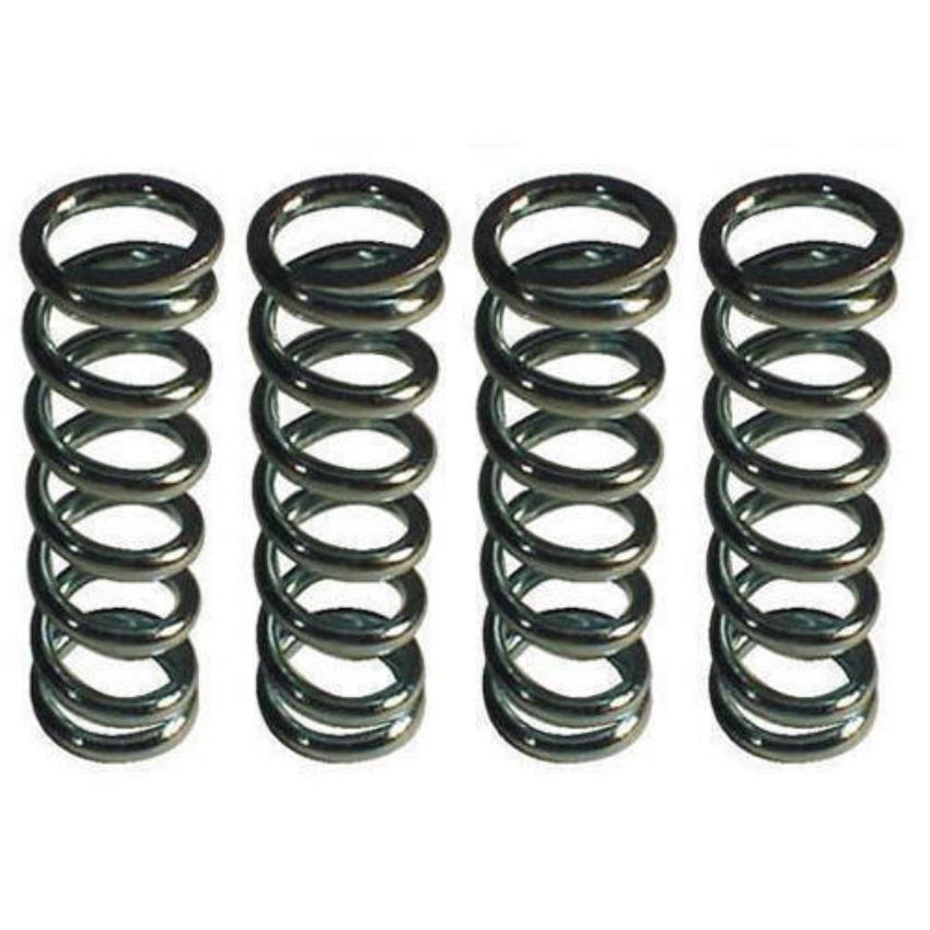 Heavy Duty Stainless Steel Springs