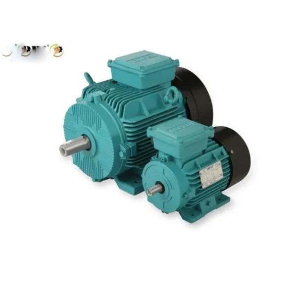 High Efficiency Induction Motor