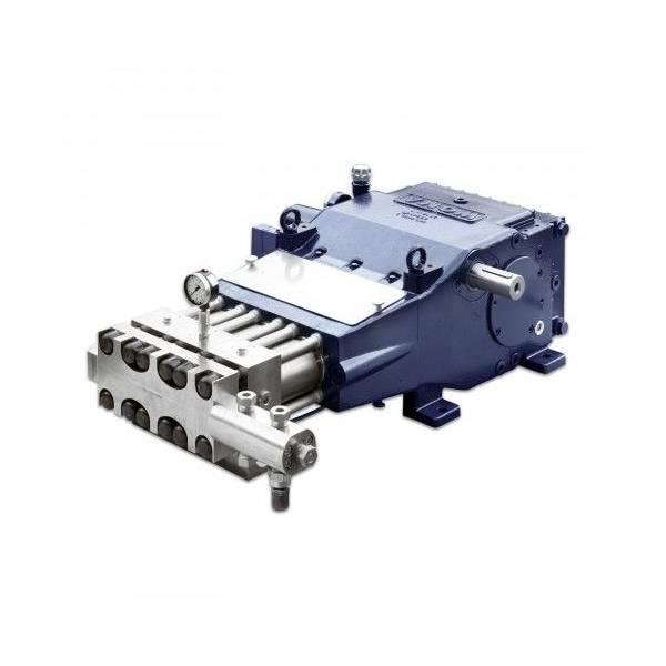 Cast Iron Plunger Pump