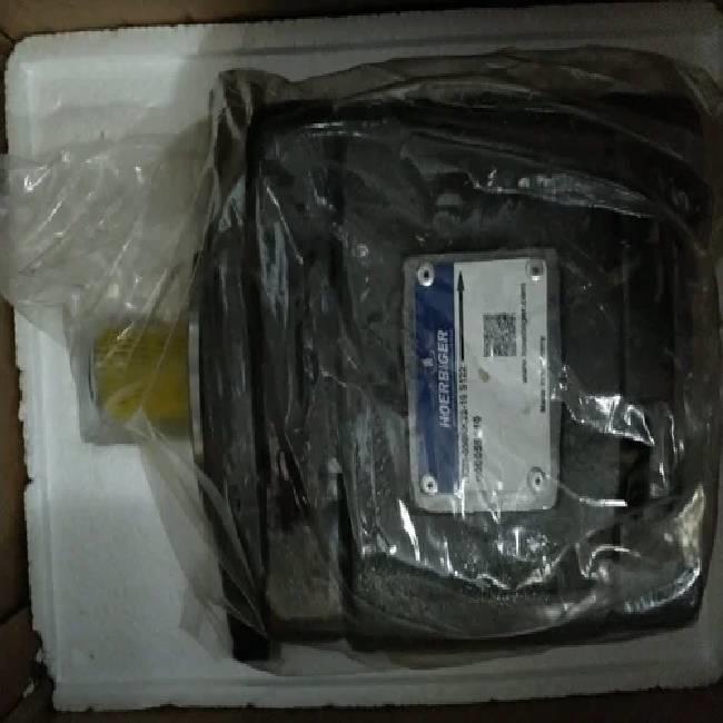 Hoerbiger Hydraulic Gear Pump Machine