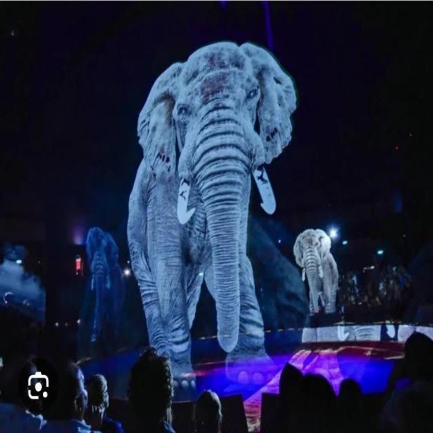 Hologram Mesh Projector Rental