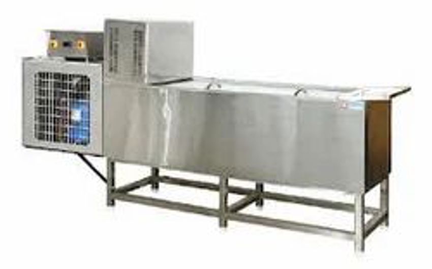 Customizable Ice Candy Plant