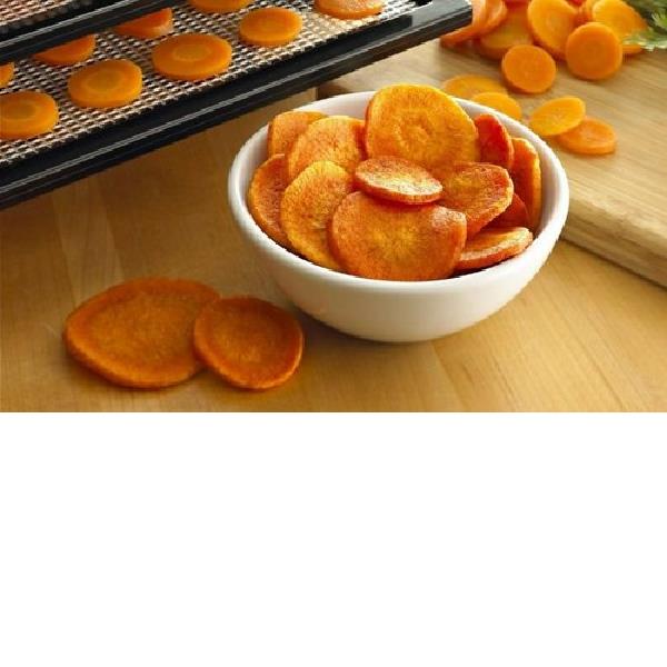 Carrot Dehydration Equipment