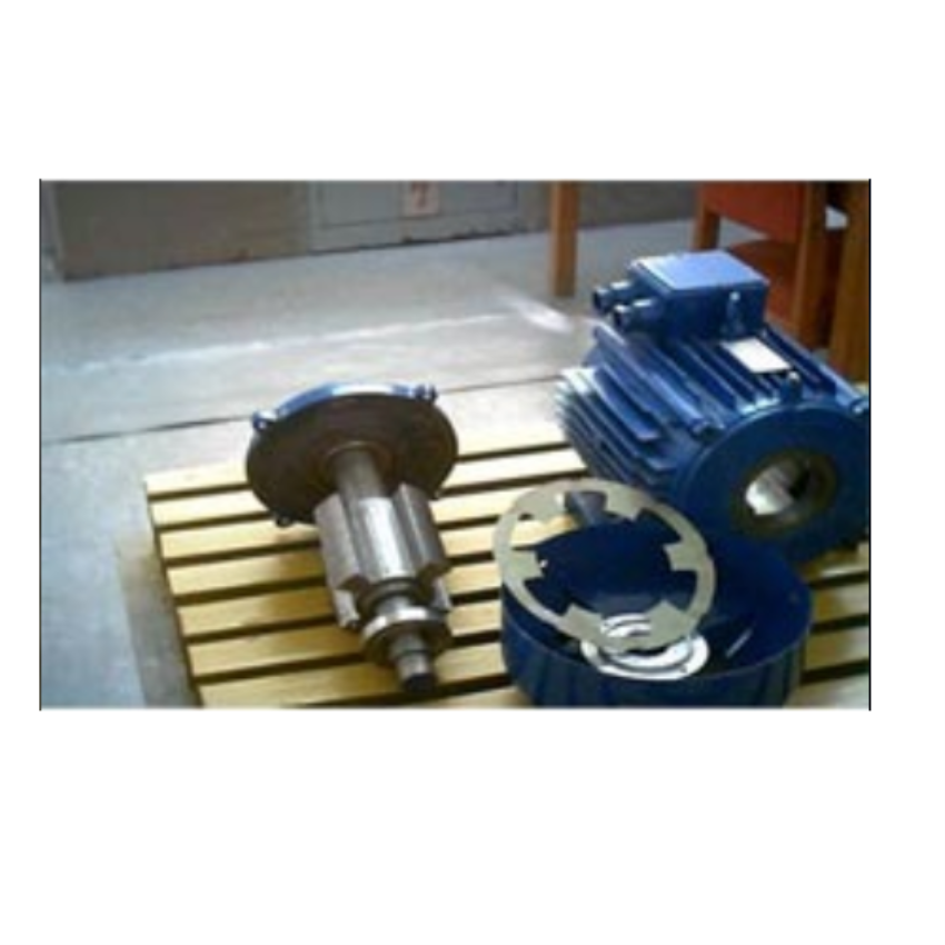 Industrial & Lab AC Synchronous Motor