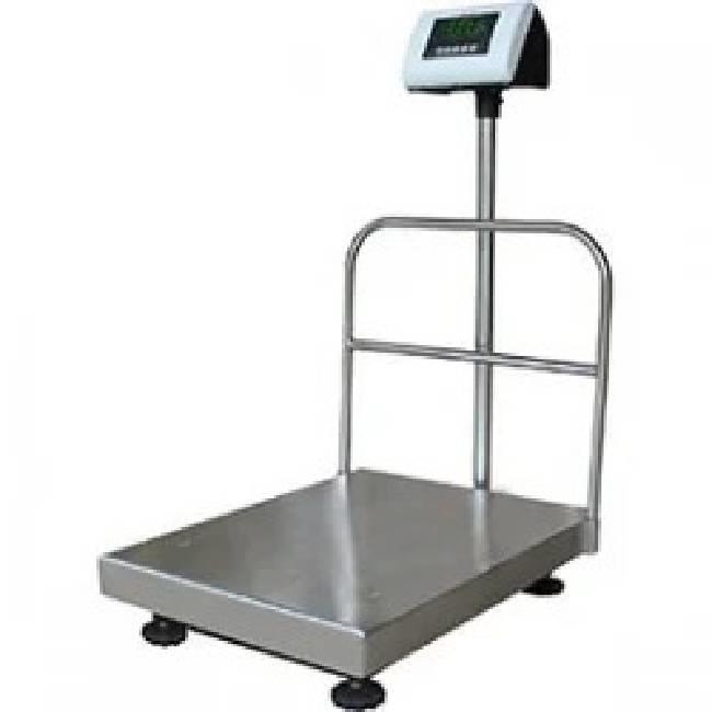 Industrial Platform Scale