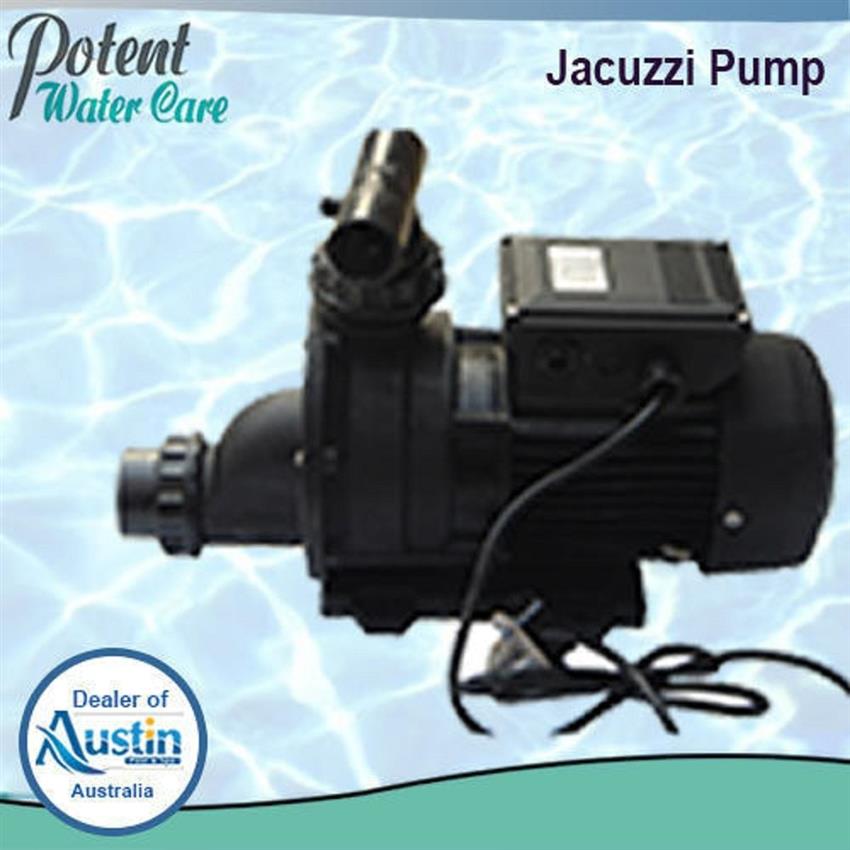Commercial Jacuzzi Pool Pump