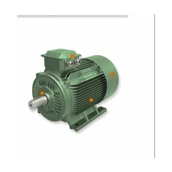 JDEW IE4 Super Premium PMSM Motor