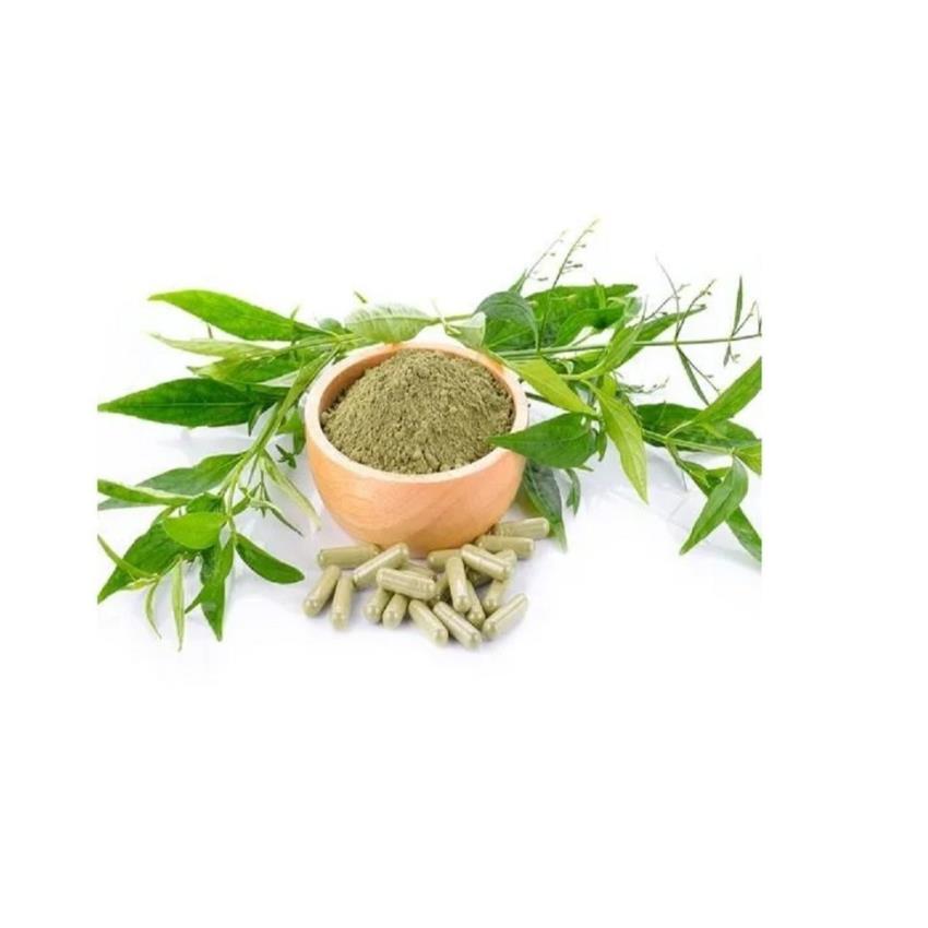 Kalmegh Extract Powder