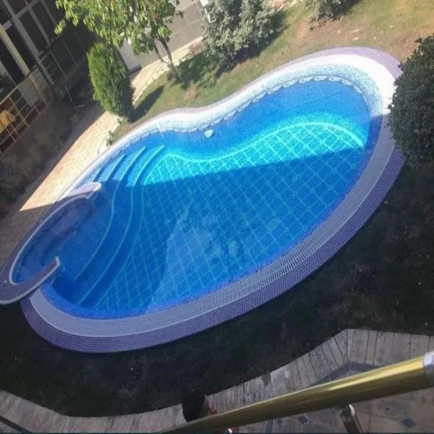 Kidney Shaped Concrete Pool
