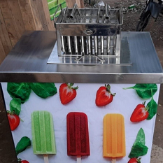 Kulfi Popsicle Maker