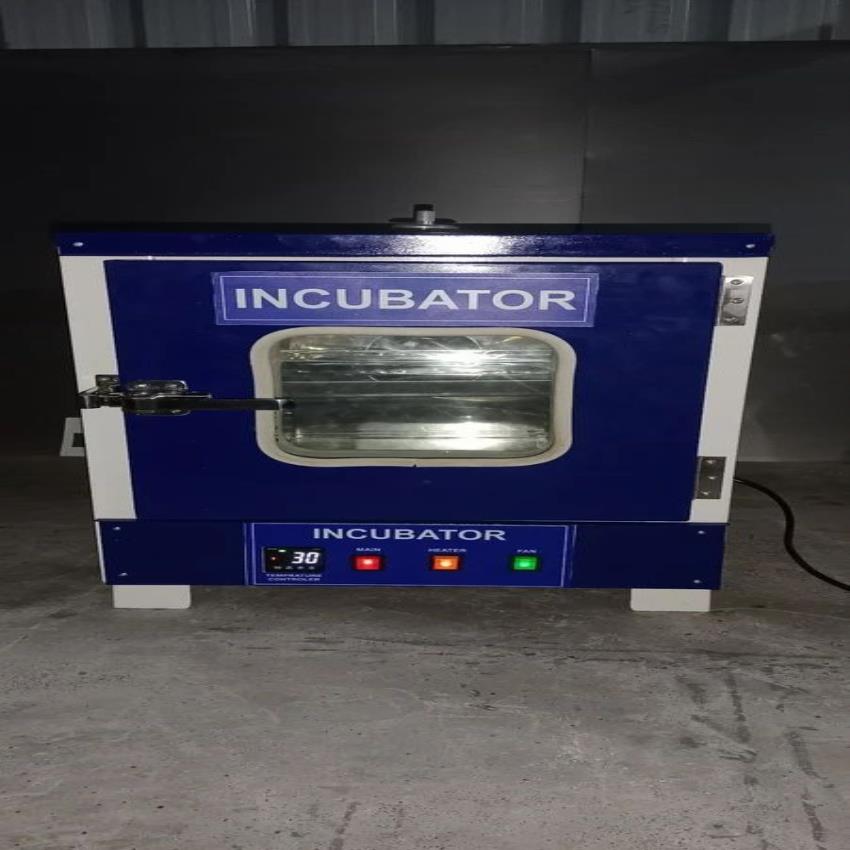 Powder Coated Lab Bacteriological Incubator