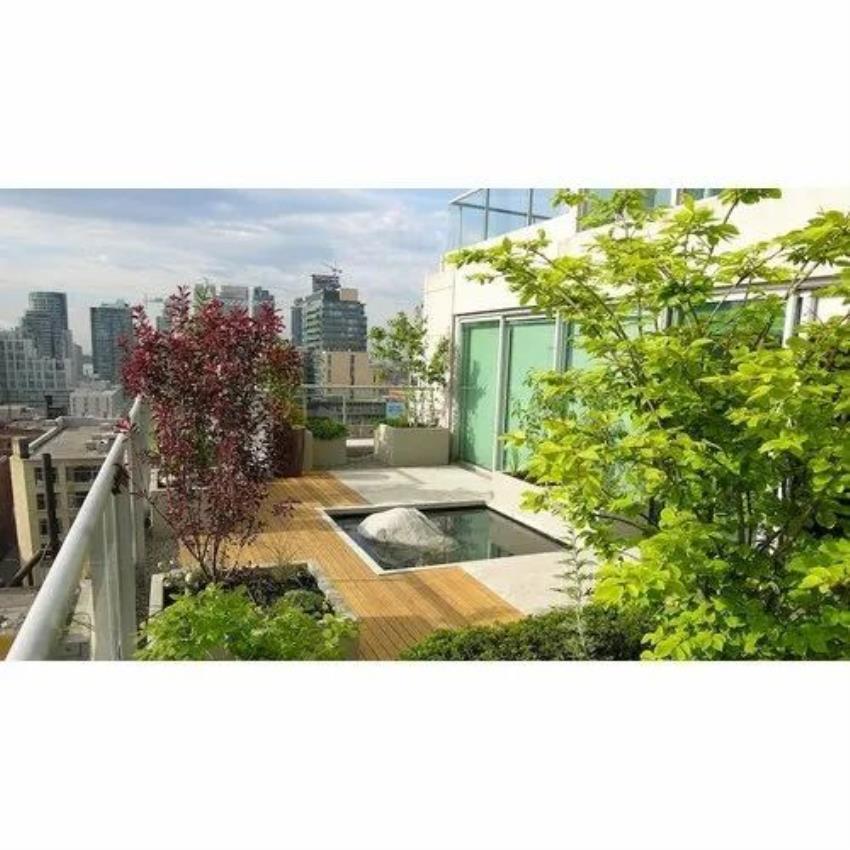 Living Room Terrace Garden Design Service, Wood Work