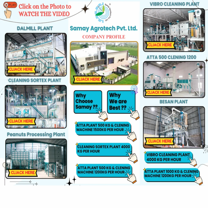 Maize Grit Processing Plant