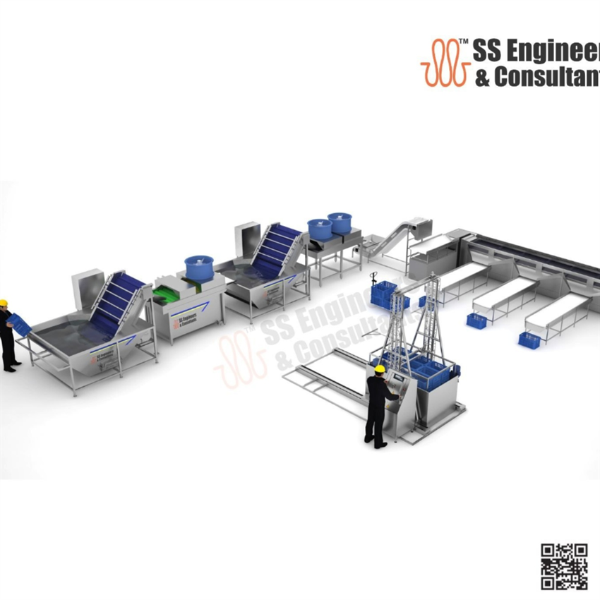 Mango Hot Water Treatment Machine