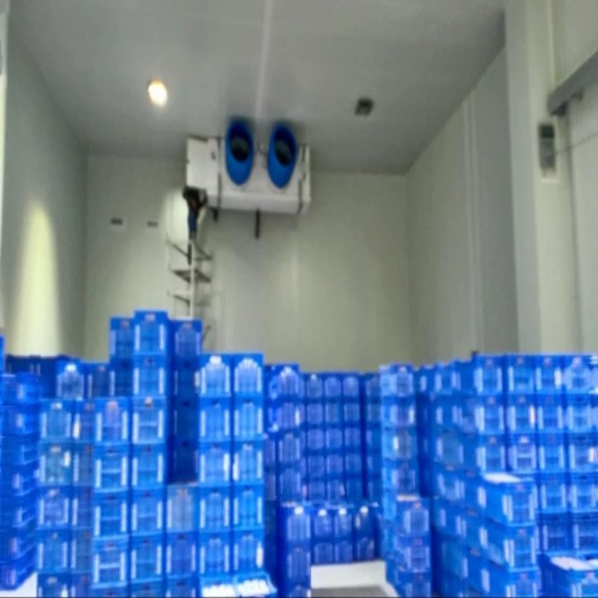 Mango Ripening Equipment