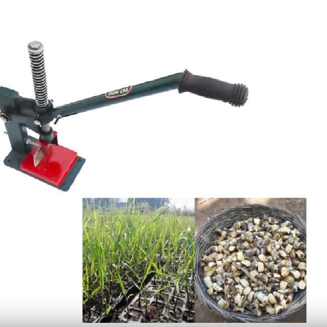 Manual Sugarcane Bud Chipper