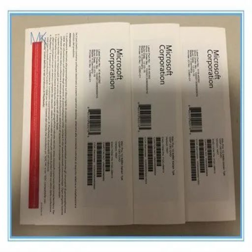 Microsoft Windows 10 Pro OEM