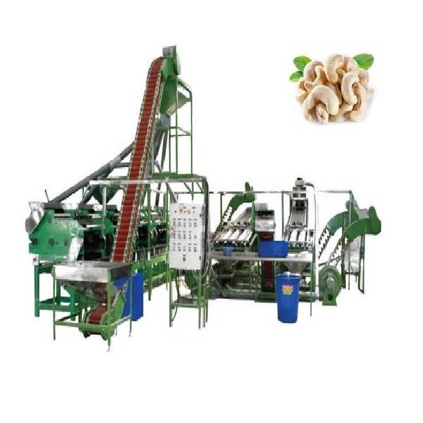 Steel Cashew Nut Processing Plant