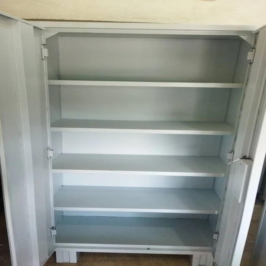 Mild Steel Library Almirah 2 Door