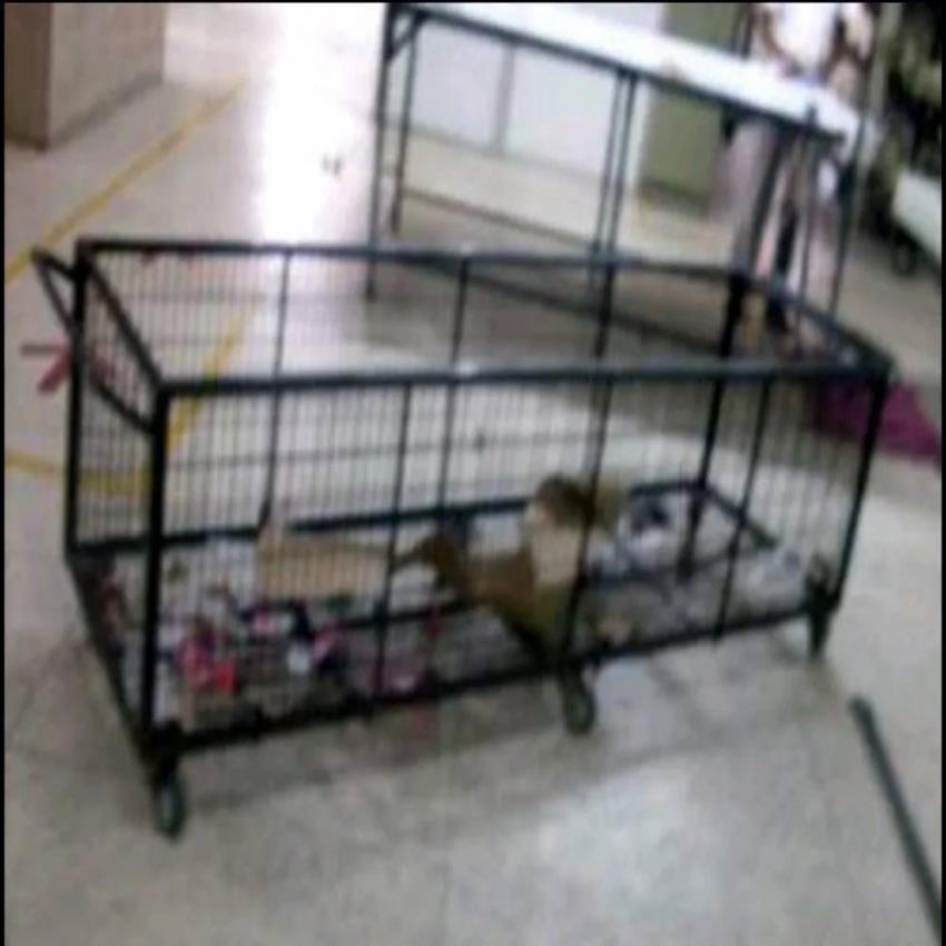 Foldable Steel Fabric Trolley