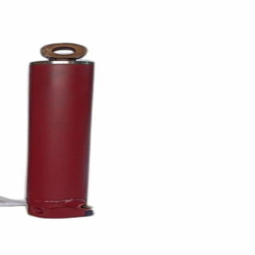 Mild Steel Single Acting Hydraulic Cylinder