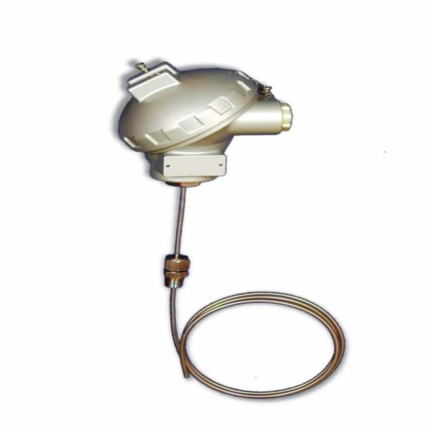 Mineral Insulated PT500 RTDs