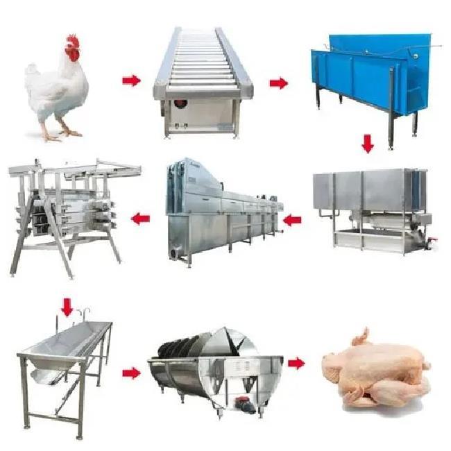 MINI CHICKEN PROCESSING EQUIPMENT